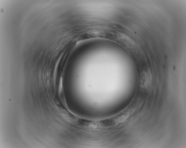 X0000088360420200705221036