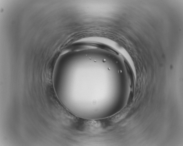 X0000088360421200705221036