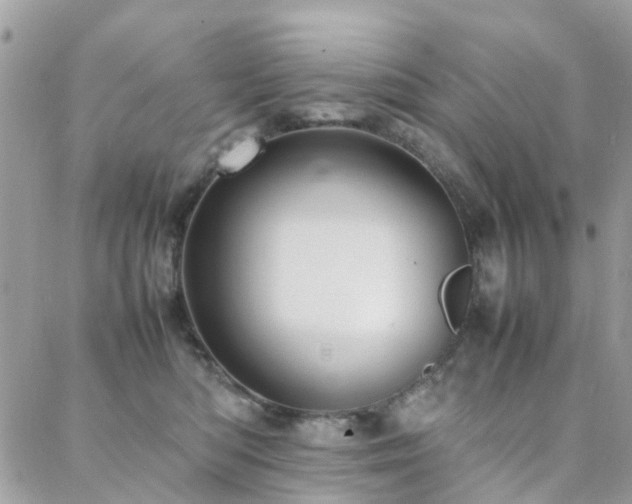 X0000088360422200705221036