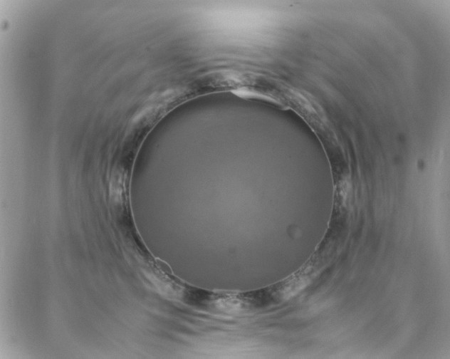 X0000088360423200705221036