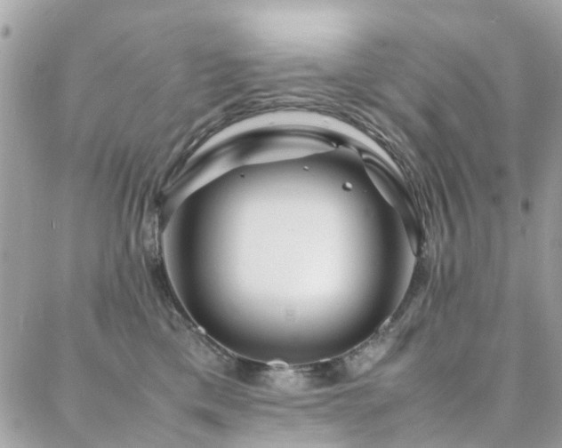 X0000088360425200705221036