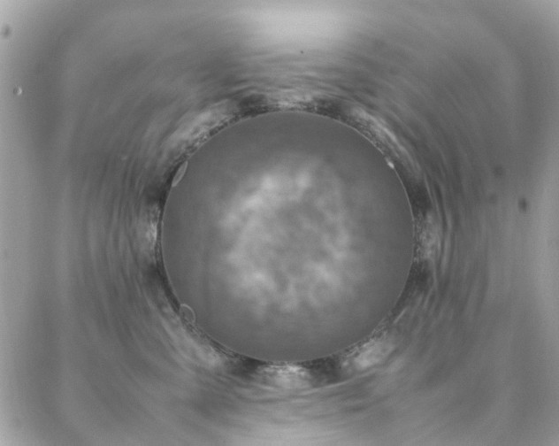 X0000088360427200705221036