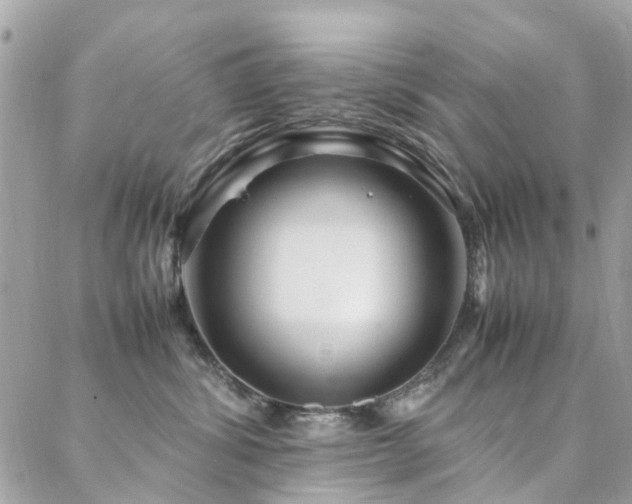 X0000088360428200705221036