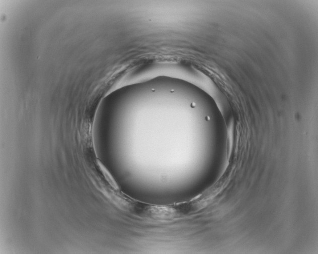 X0000088360429200705221036