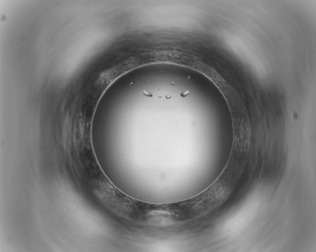 X0000088360430200705221036