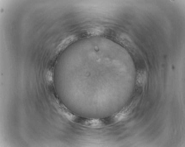 X0000088360431200705221036