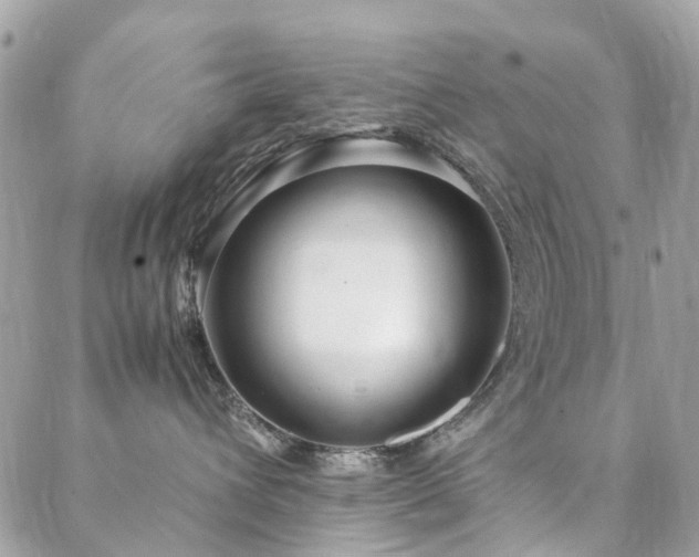 X0000088360432200705221036