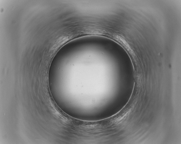 X0000088360433200705221035