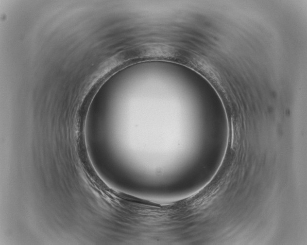 X0000088360435200705221035