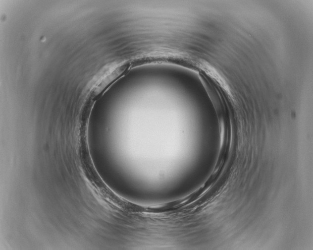 X0000088360436200705221035