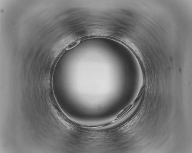 X0000088360437200705221035