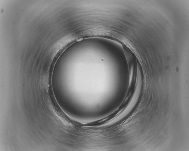 X0000088360438200705221035