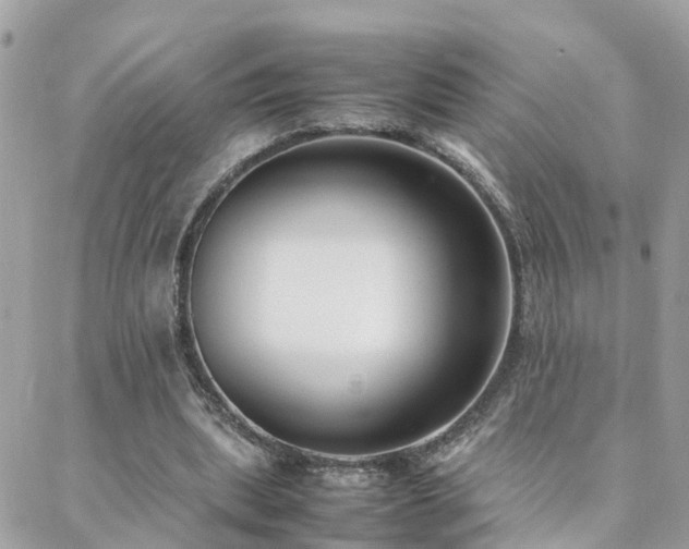 X0000088360439200705221035