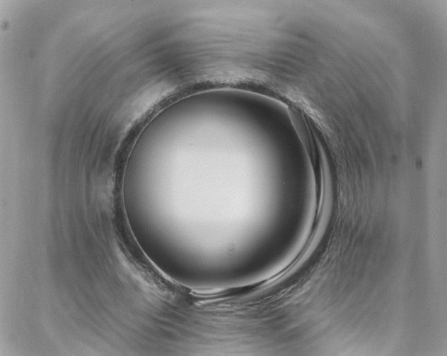 X0000088360440200705221035