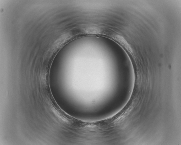 X0000088360441200705221035