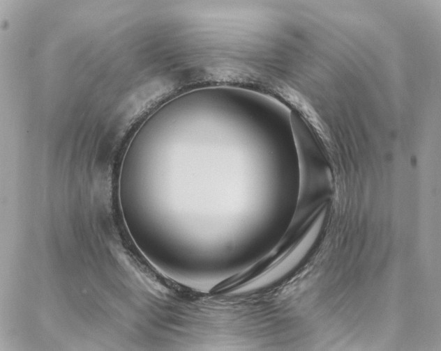 X0000088360442200705221035