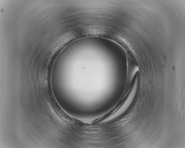 X0000088360443200705221035