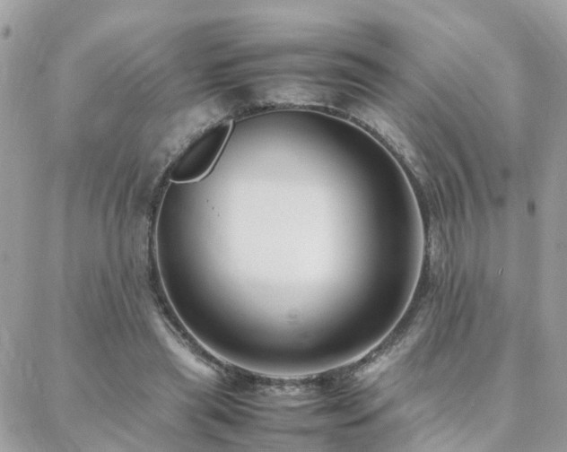 X0000088360445200705221035