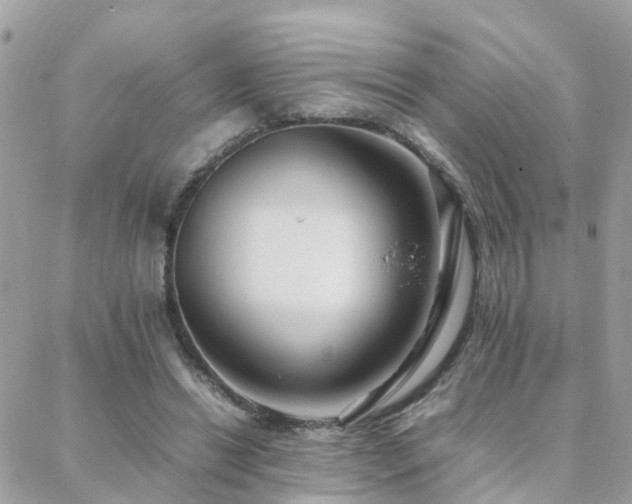 X0000088360446200705221035