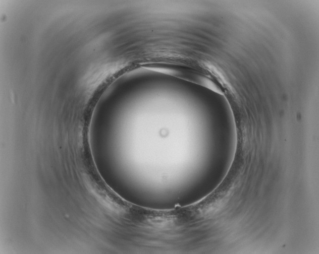 X0000088360447200705221035