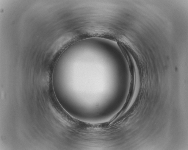 X0000088360448200705221035