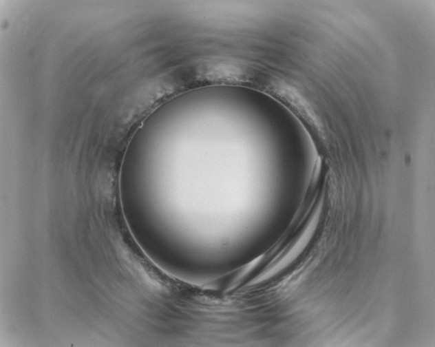 X0000088360449200705221035