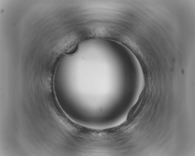 X0000088360450200705221035