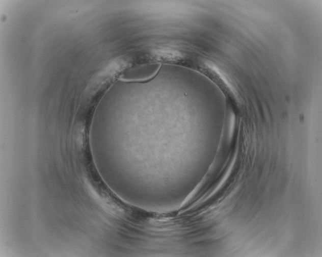 X0000088360451200705221035