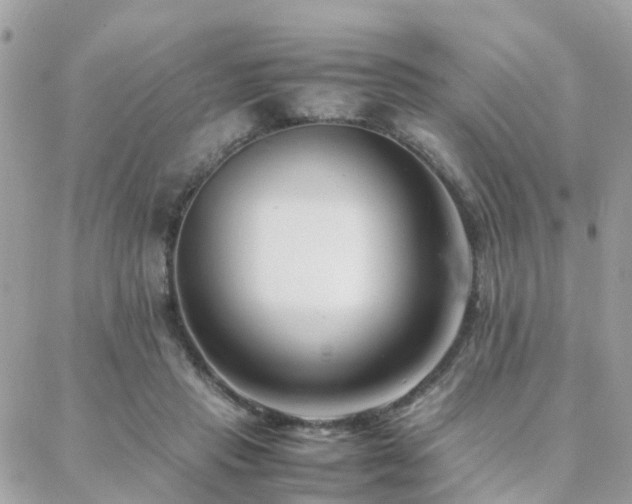 X0000088360453200705221035