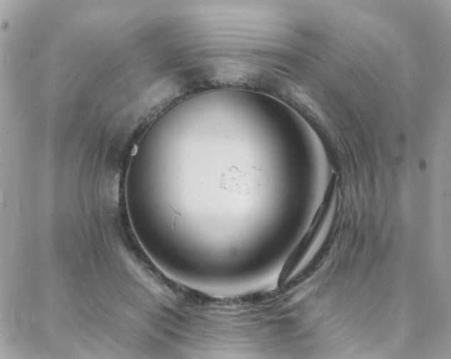 X0000088360454200705221035