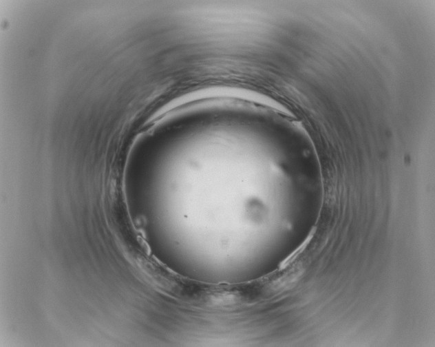 X0000088360456200705221035