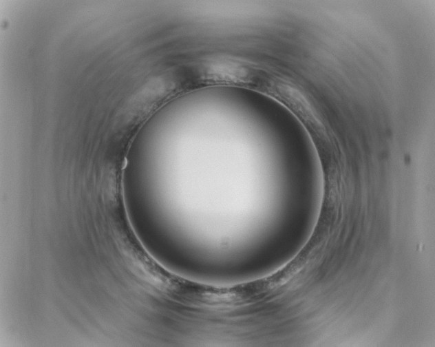 X0000088360457200705221035