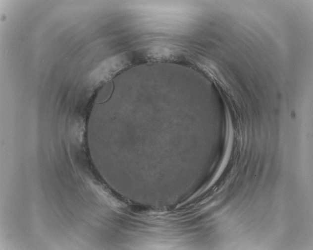 X0000088360458200705221035