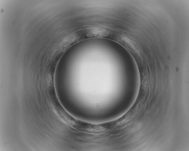 X0000088360459200705221035