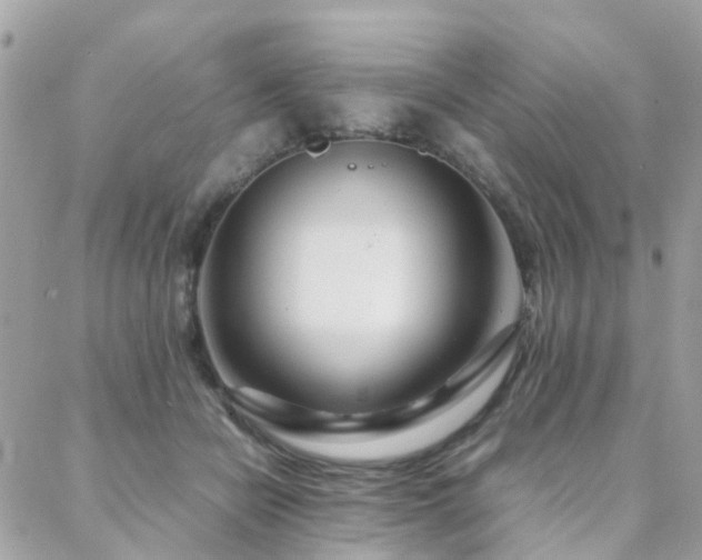 X0000088360462200705221035