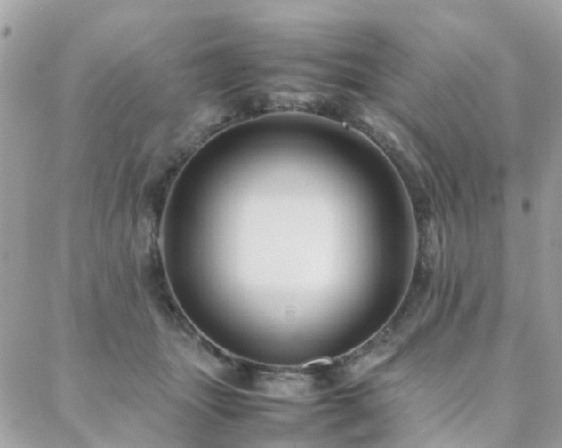 X0000088360463200705221035