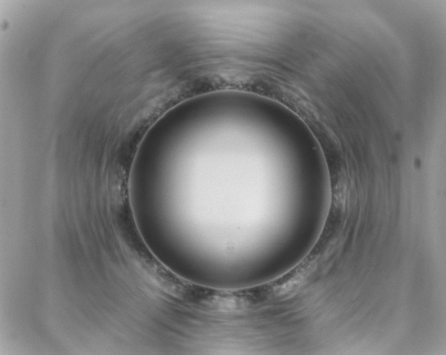 X0000088360464200705221035