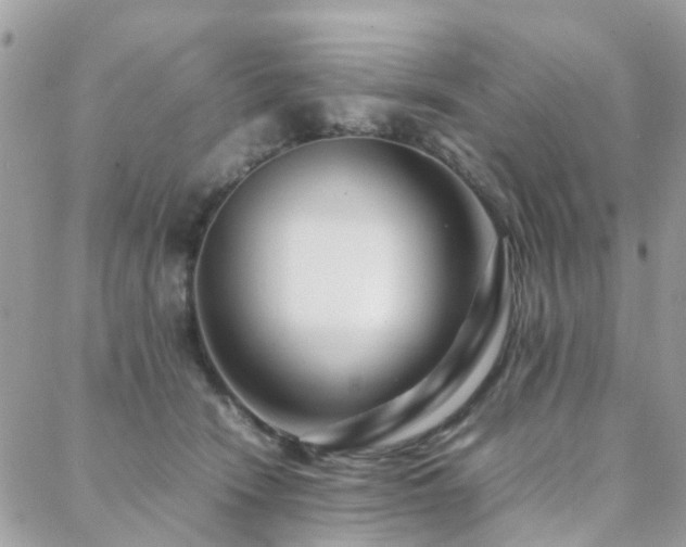 X0000088360466200705221035