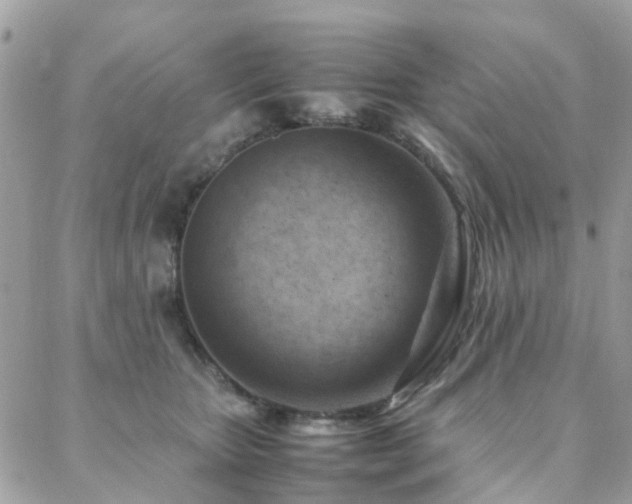 X0000088360467200705221035