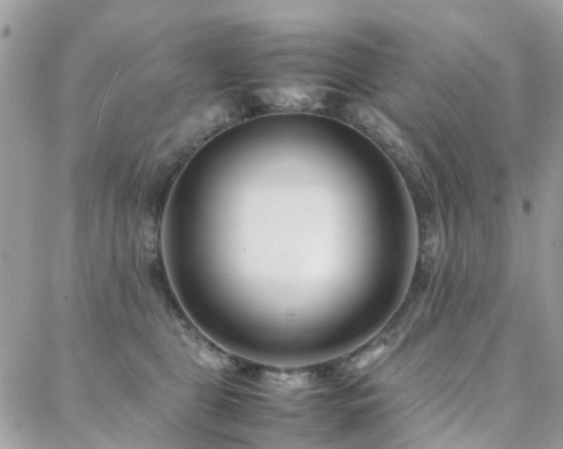 X0000088360469200705221035