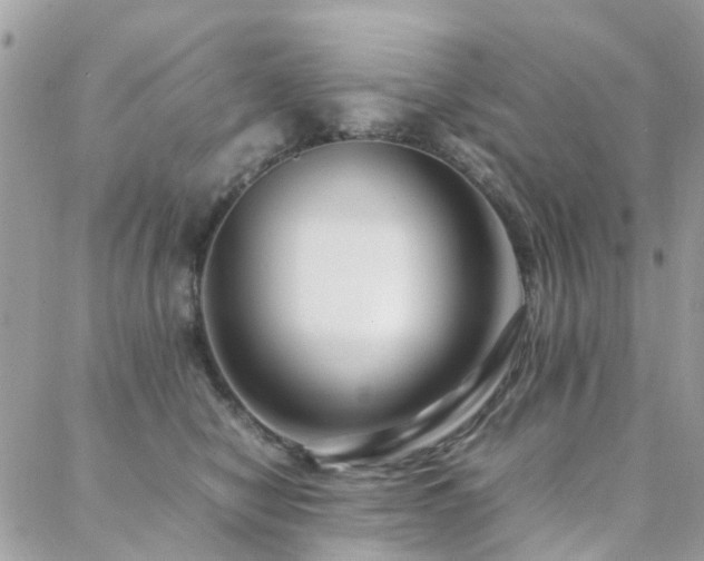 X0000088360470200705221035