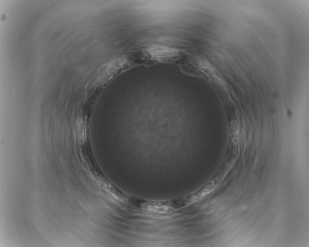 X0000088360471200705221035