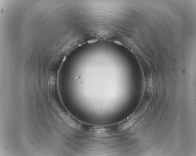 X0000088360472200705221035