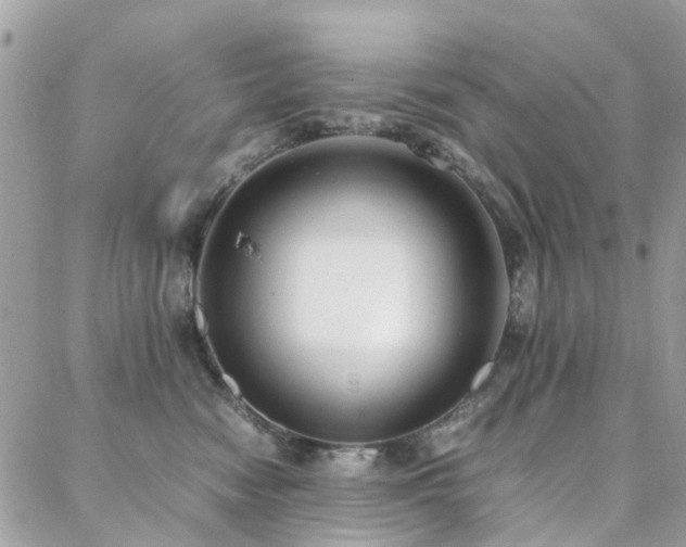 X0000088360474200705221035