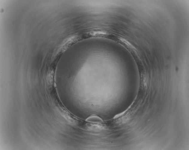 X0000088360475200705221035