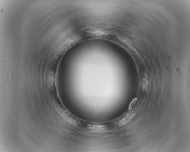 X0000088360476200705221035