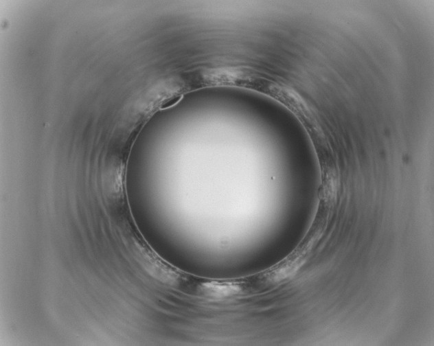 X0000088360477200705221035