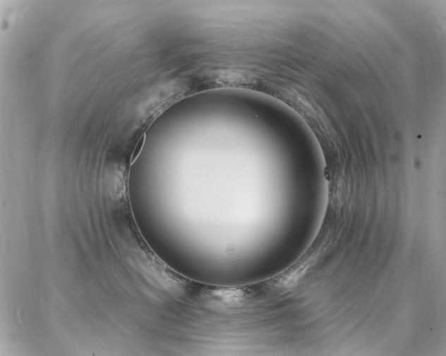 X0000088360478200705221035