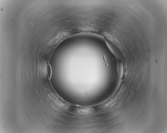 X0000088360479200705221036