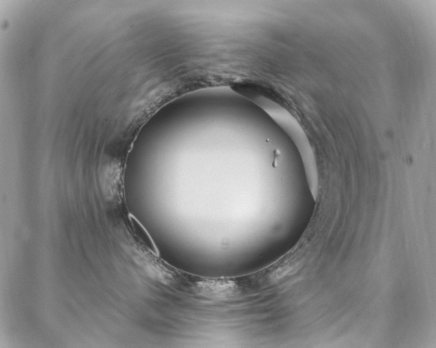 X0000088360480200705221036